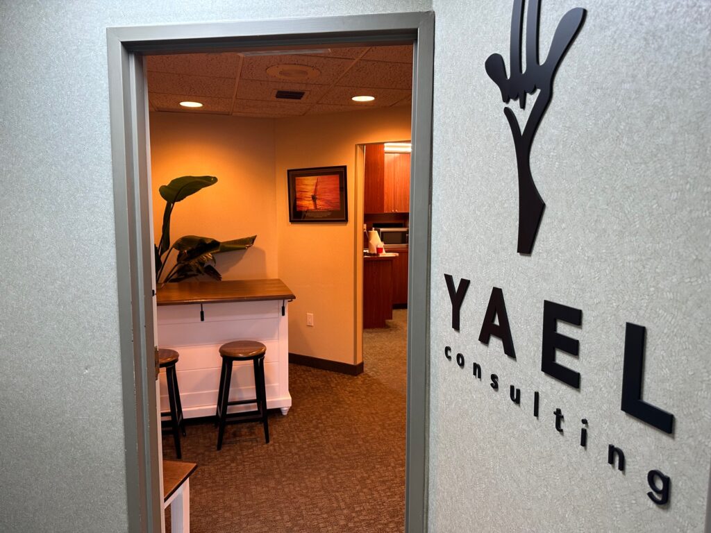 Yael Consulting Office